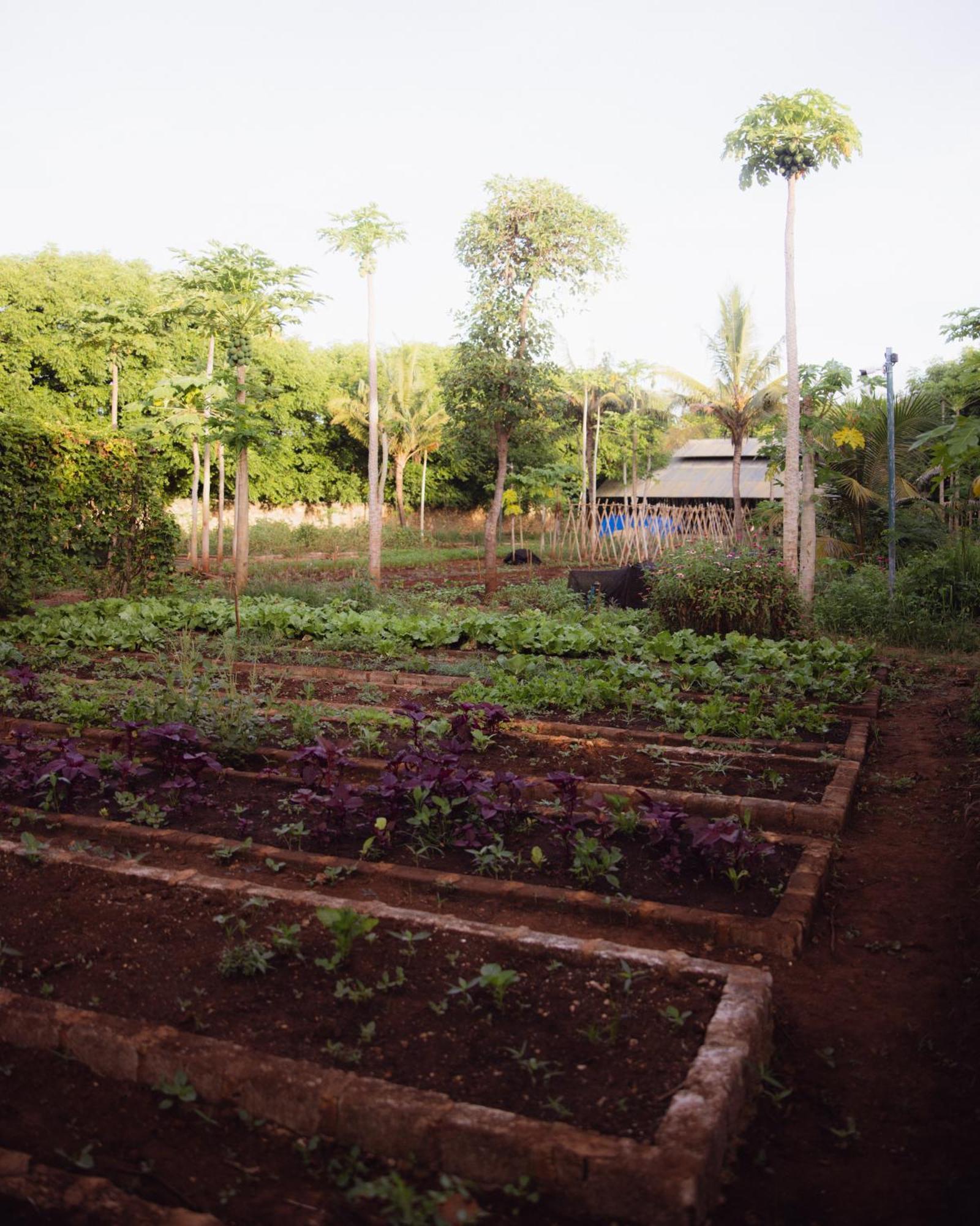 Waikelo Maringi Sumba By The Sumba Hospitality Foundation מראה חיצוני תמונה